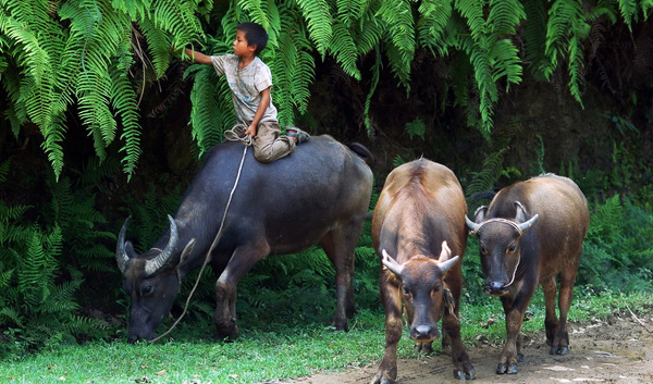 立志當立天下志，求名當求萬世名(圖1)
