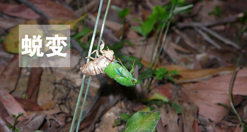 用心感受世界，因活著而幸福(圖4)